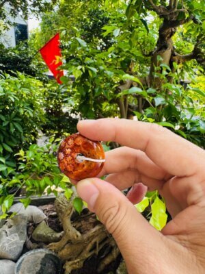 Trang sức làm từ San Hô Hóa Thạch