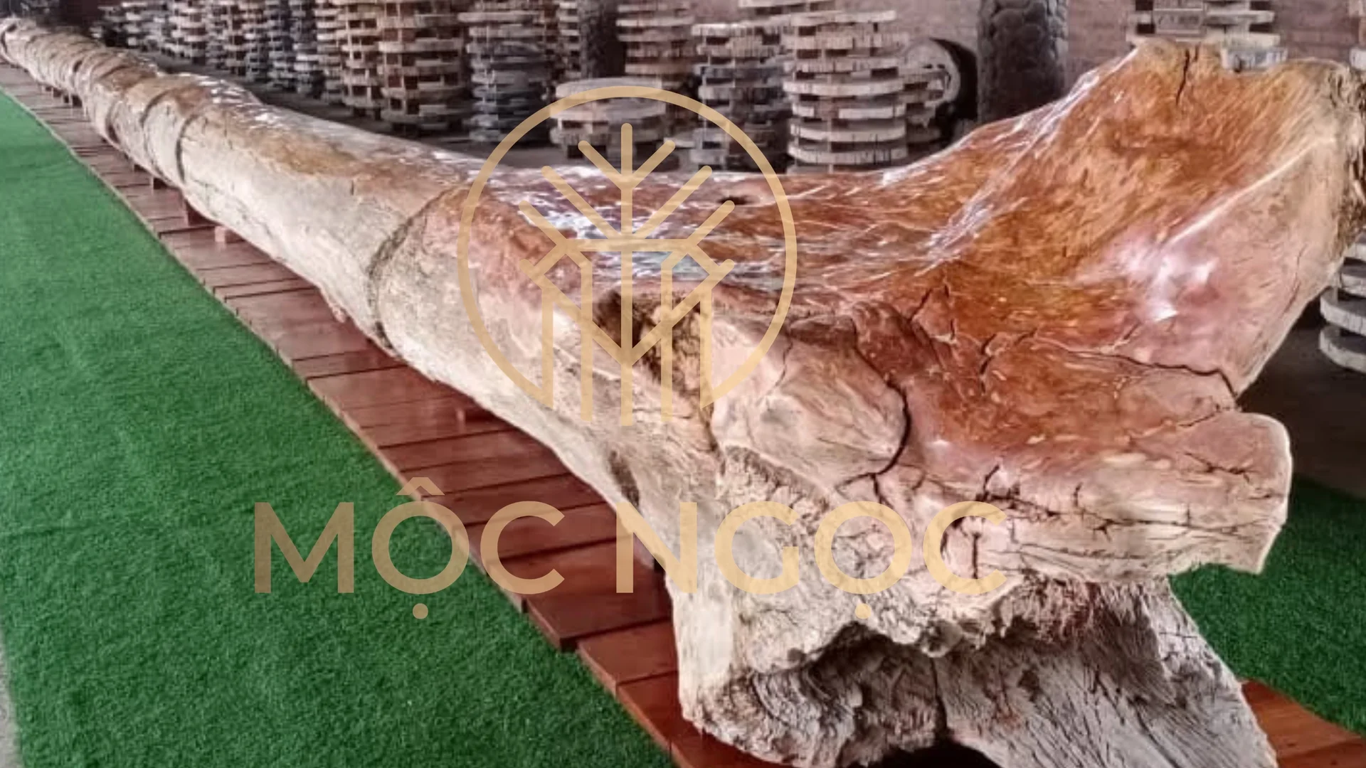 Không gian trưng bày gỗ hóa thạch Mộc Ngọc