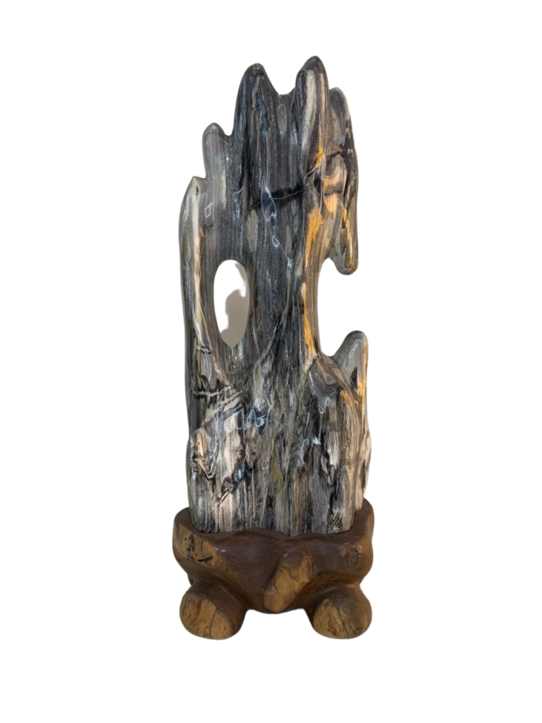 GỖ HÓA THẠCH