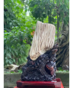 Gỗ Hóa Thạch No.529