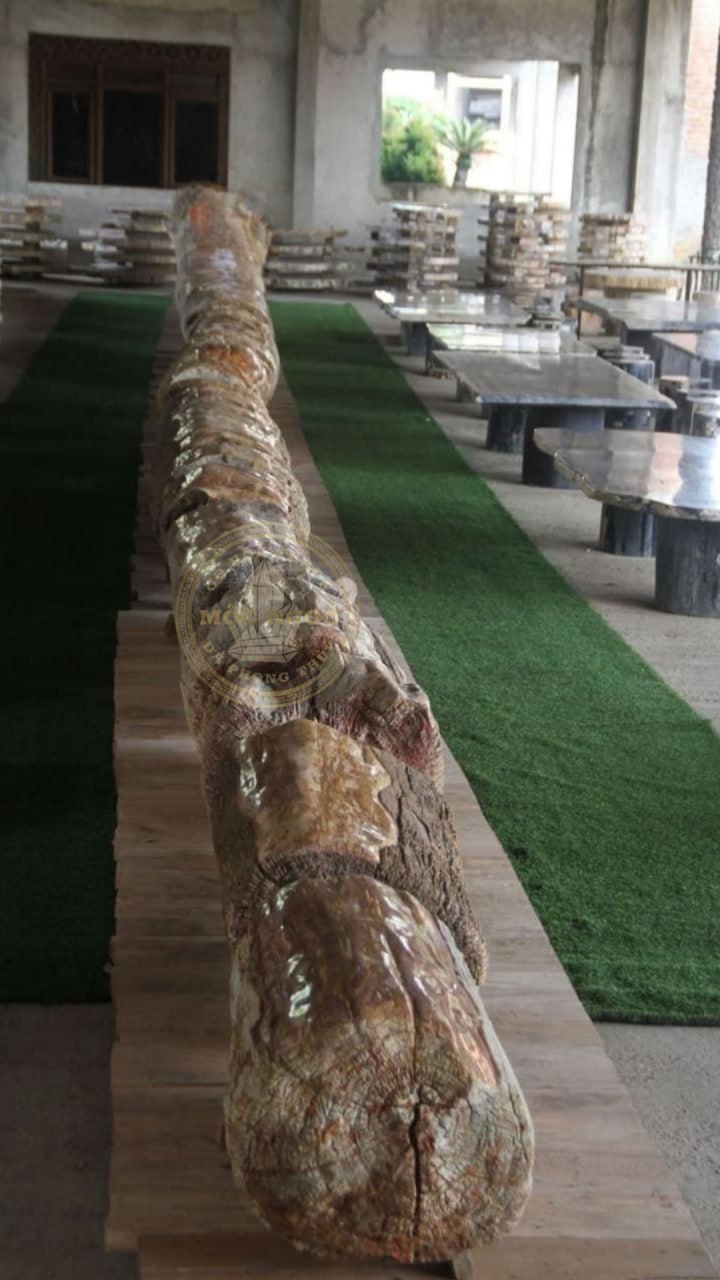 photo20250721155409 Mộc Ngọc Gỗ Hóa Thạch Đá Phong Thủy