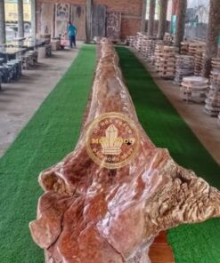 Gỗ hóa thạch cổ thụ 30m trưng bày độc bản tại Mộc Ngọc