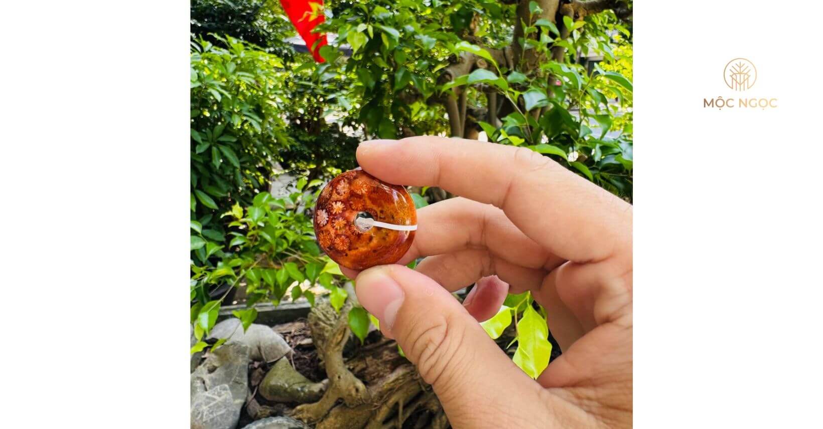 San Hô Đỏ Tự Nhiên: Báu Vật Từ Lòng Đại Dương & Biểu Tượng Của Quyền Lực Vĩnh Cửu