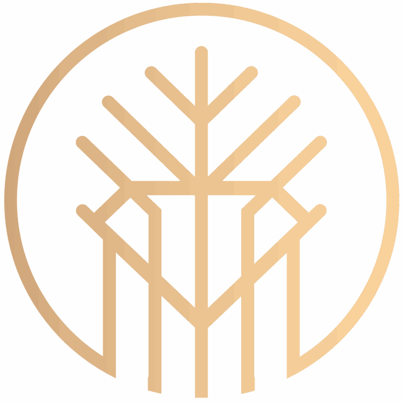Mộc Ngọc – Gỗ Hóa Thạch, Đá Phong Thủy