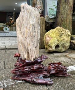 gỗ hóa thạch No.617