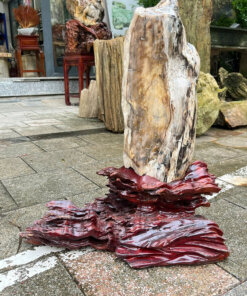 gỗ hóa thạch No.617