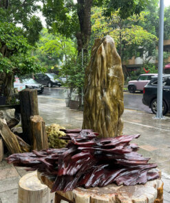 gỗ hóa thạch No.618