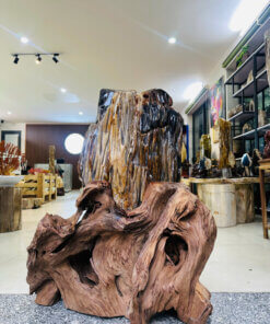 Gỗ Hóa Thạch No.622