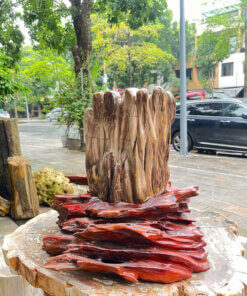 Gỗ Hóa Thạch No.625