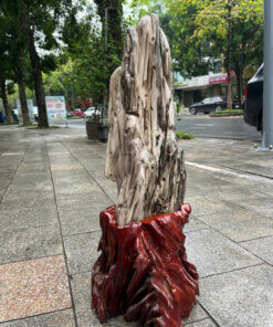 Gỗ Hóa Thạch No.623