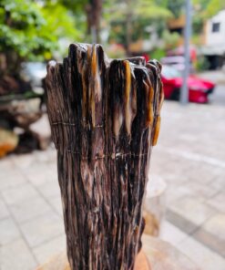 Gỗ hóa thạch No.675