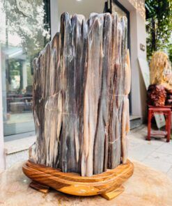 Trụ gỗ hóa thạch phong thủy trưng bày phòng khách sang trọng