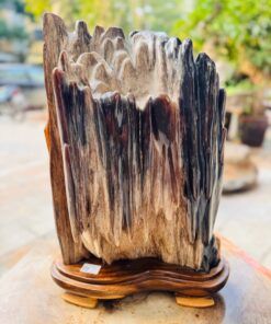 Trụ gỗ hóa thạch phong thủy trưng bày phòng khách sang trọng