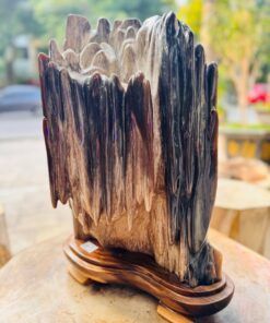 Gỗ hóa thạch No.651 nặng 32kg cao 50cm vân dọc cực đẹp