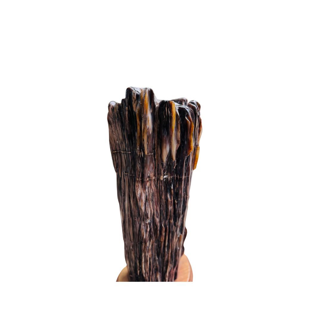 tách nền ght 1 Mộc Ngọc Gỗ Hóa Thạch Đá Phong Thủy