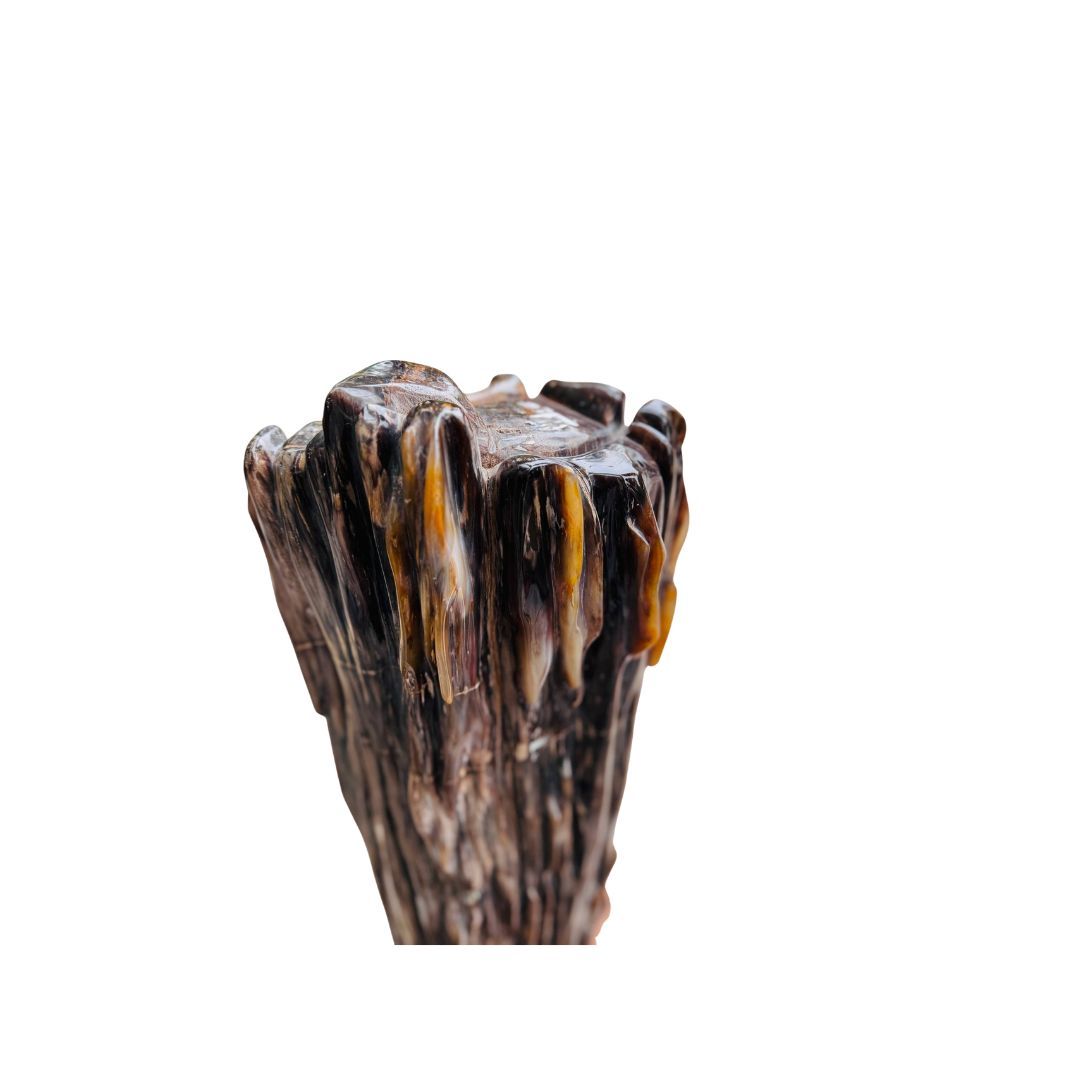 nổi bật Mộc Ngọc Gỗ Hóa Thạch Đá Phong Thủy gỗ hóa thạch