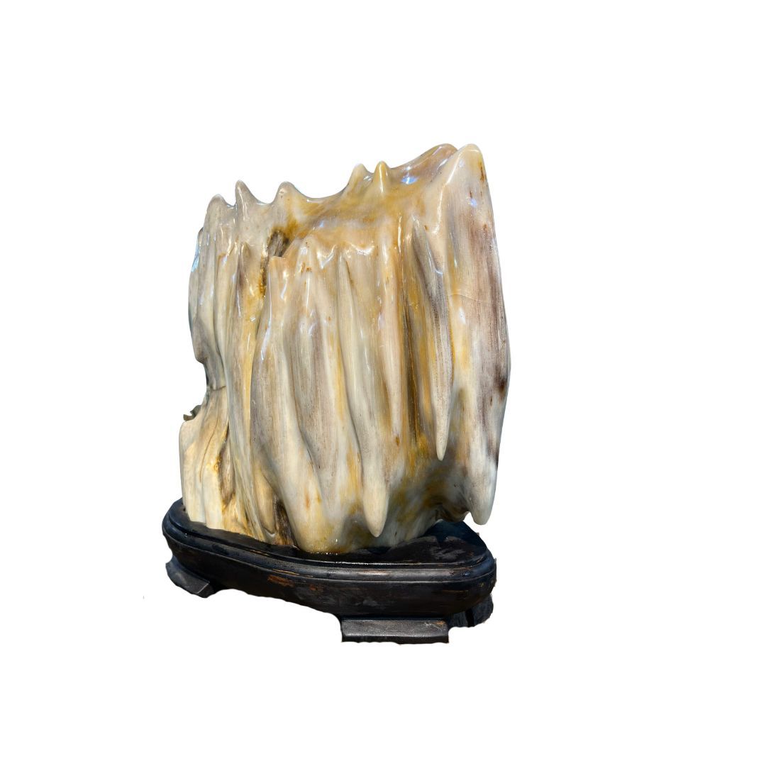 tách nền ght 4 Mộc Ngọc Gỗ Hóa Thạch Đá Phong Thủy