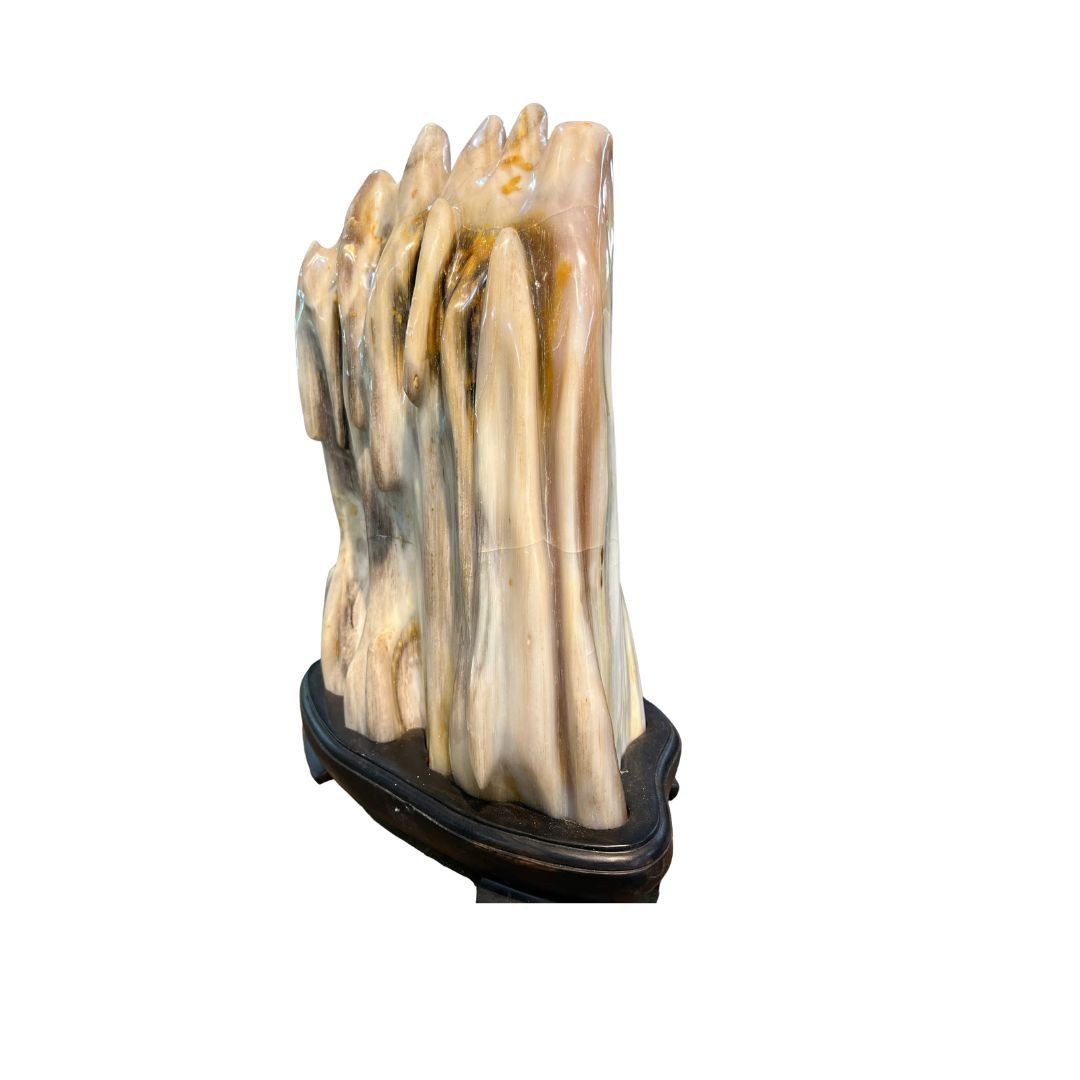 tách nền ght 6 Mộc Ngọc Gỗ Hóa Thạch Đá Phong Thủy