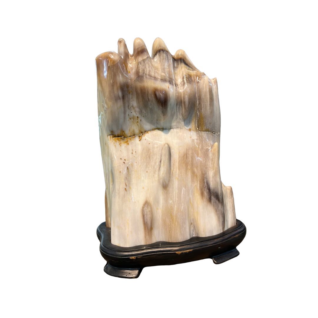 tách nền ght 7 Mộc Ngọc Gỗ Hóa Thạch Đá Phong Thủy