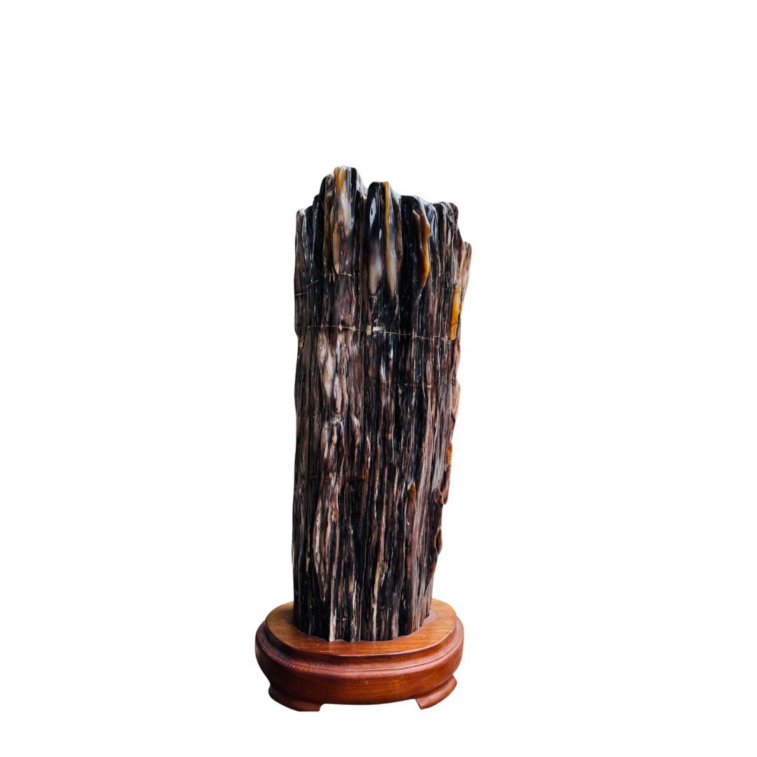 cổ đại Mộc Ngọc Gỗ Hóa Thạch Đá Phong Thủy gỗ hóa thạch