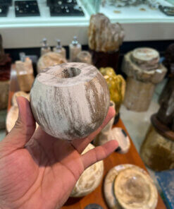 Cốc Nến Gỗ Hóa Thạch