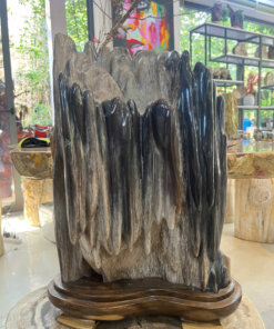 Gỗ hóa thạch No.651