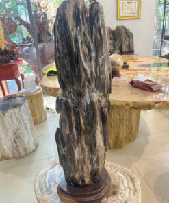 Gỗ hóa thạch No.652