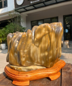 Gỗ hóa ngọc No.656