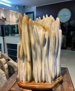 Gỗ hóa thạch No.666