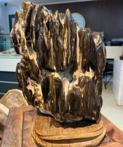 Gỗ hóa thạch No.667