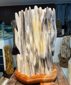 Gỗ hóa thạch No.668