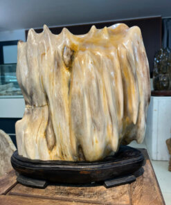 Gỗ hóa thạch no.673